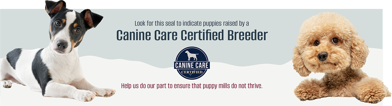 canine-care-banner